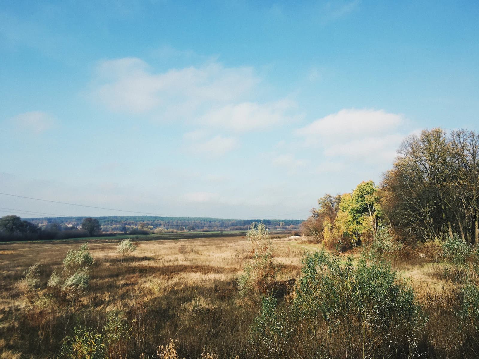 Autumn field and trees under a blue sky with scattered clouds