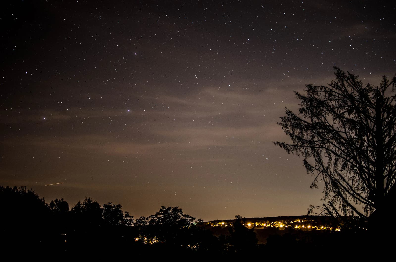 Night sky with faint stars above a tree silhouette and distant town lights