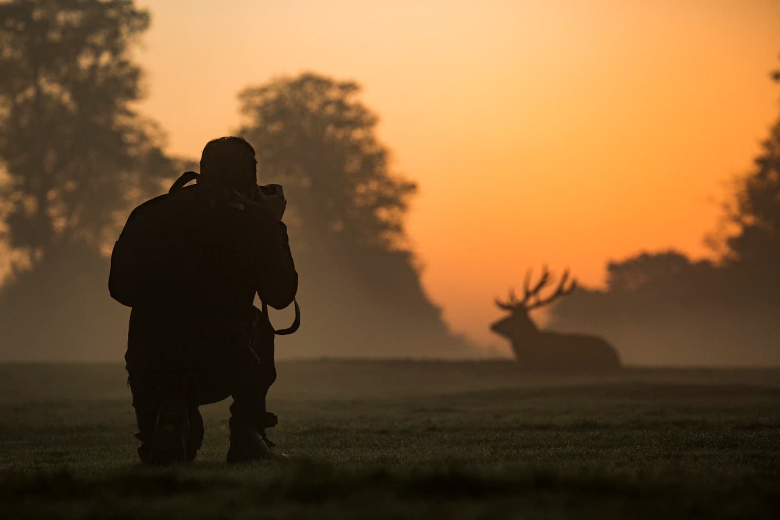 Silhouette of a photographer kneeling in a misty dawn field with a deer in the distance