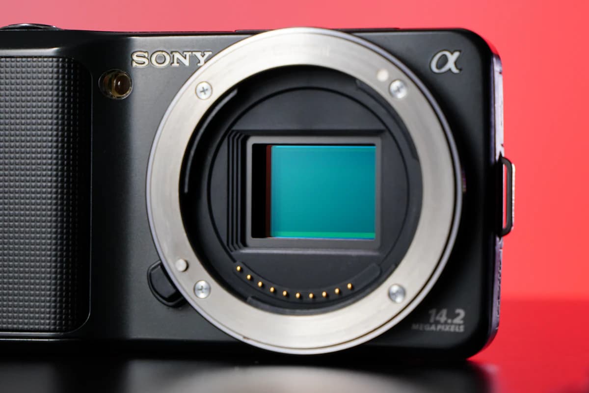 The same lens framed on a crop-sensor camera, showing a narrower field of view