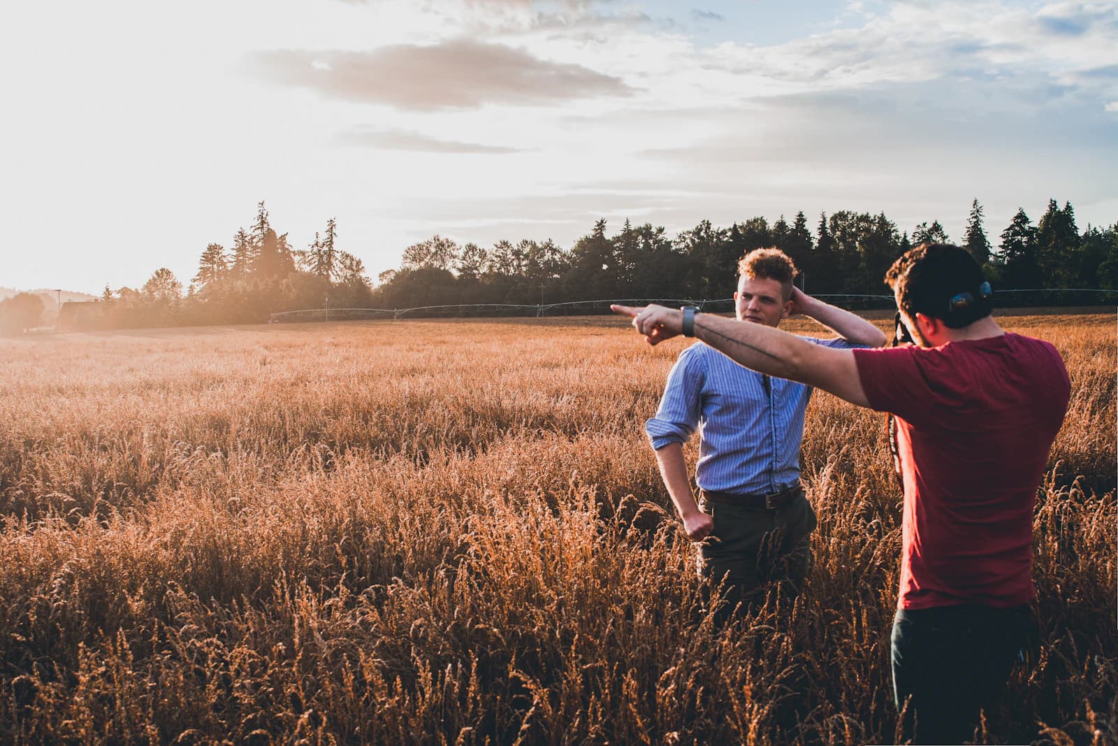 Two men talking in a golden field at sunset while one points into the distance