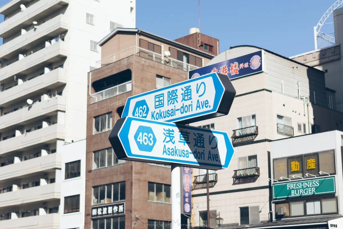 도로 표지판이 보이는 거리